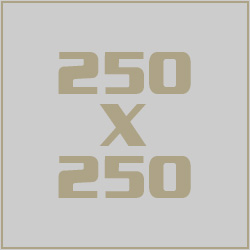 250x250 pixels